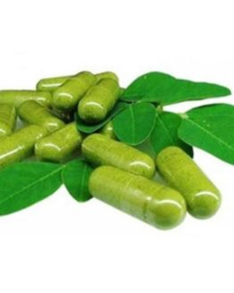 moringa-oleifera-capsules-500x500